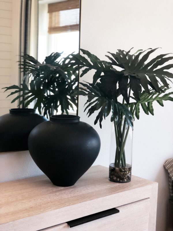 modern home decor plant